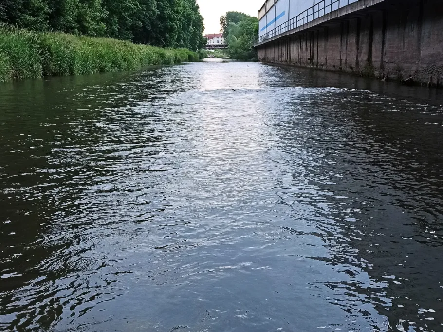 Hörsel (Eisenach) angeln