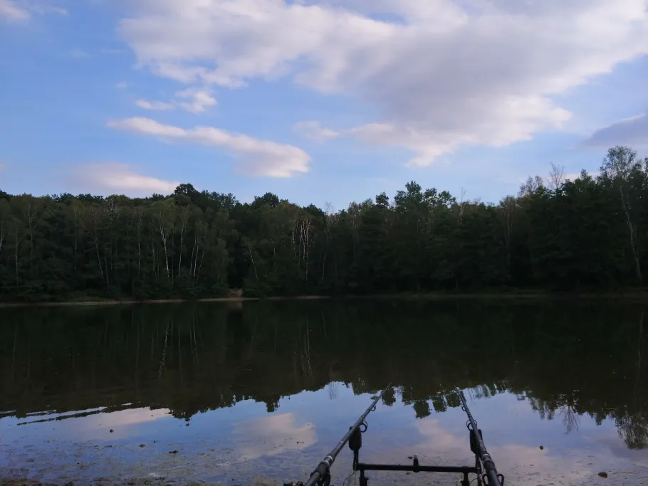 Waldbad Brandis angeln