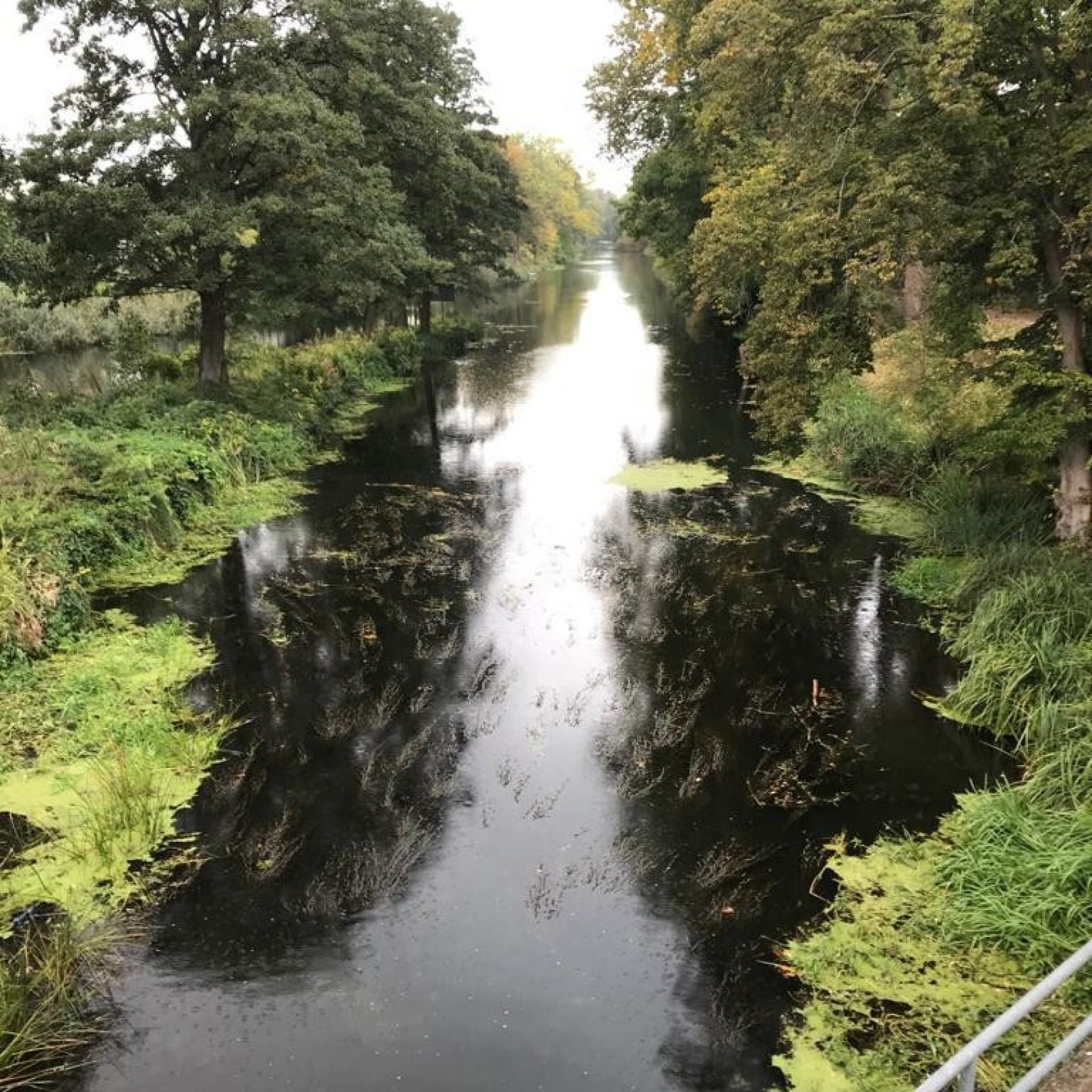 Malzer Kanal (Friedrichsthal) angeln