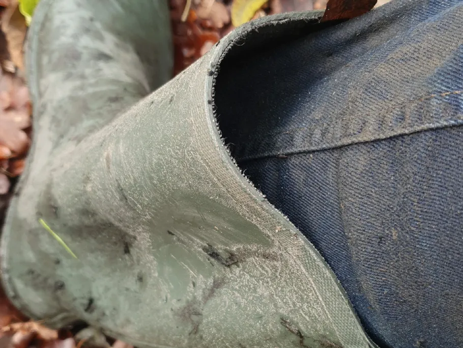 Farbbach (Ochtrup) angeln