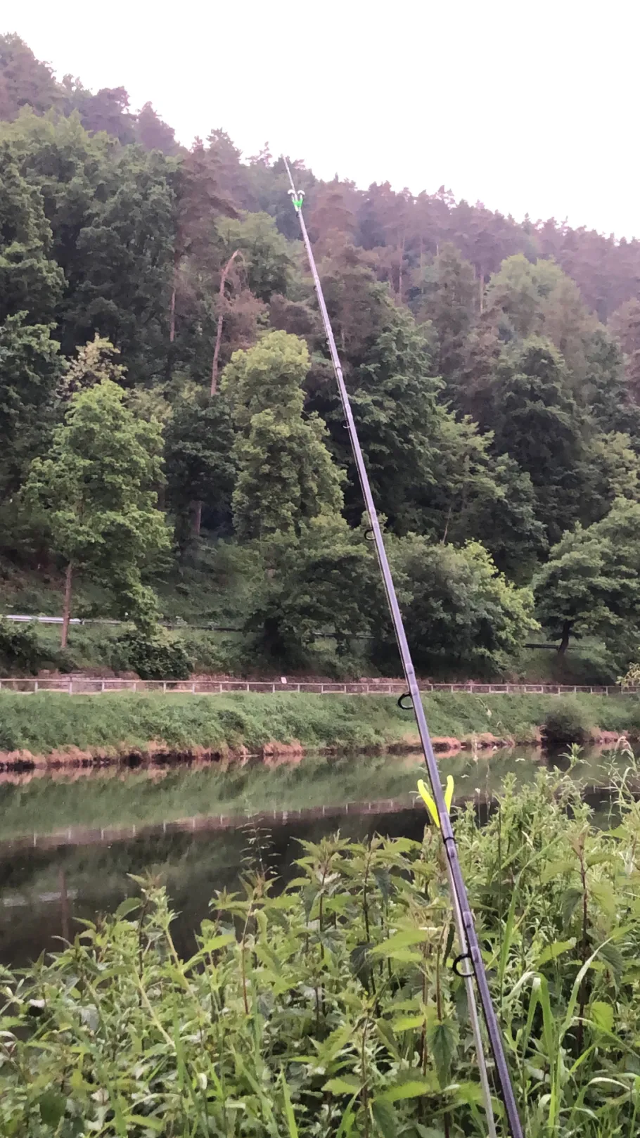 Fulda (Speele) angeln