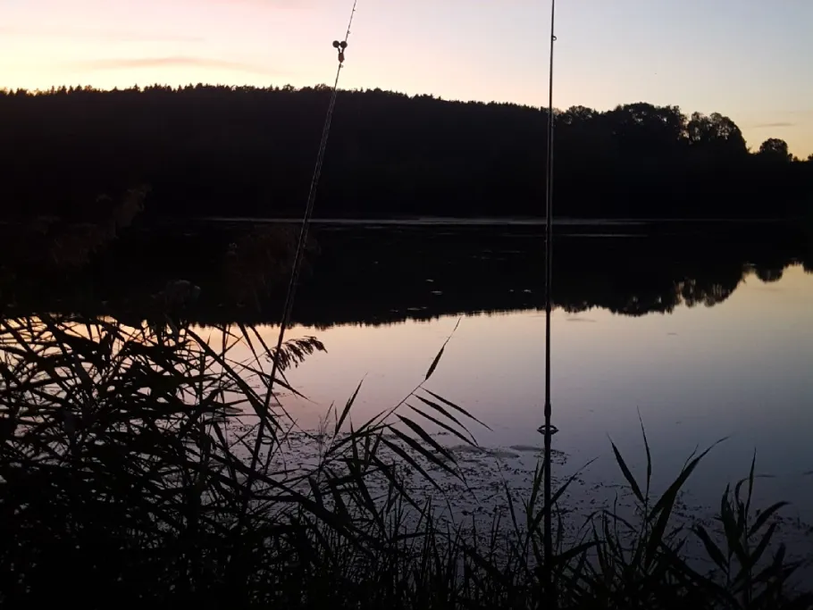 Ausee (Rottenacker) angeln