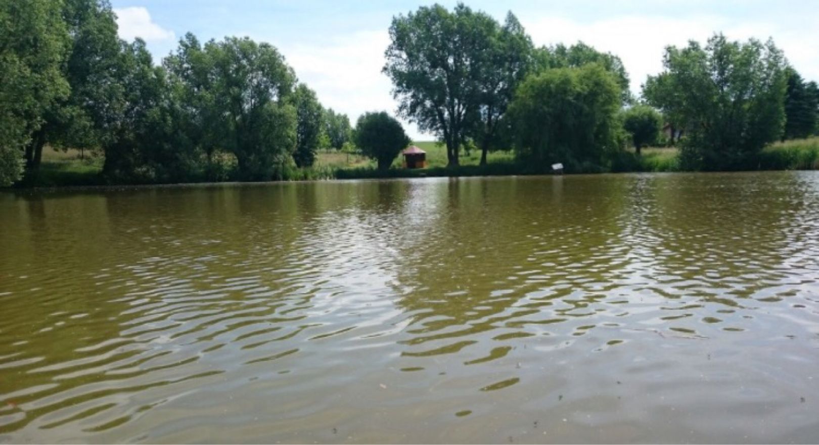 Teich Günterode angeln