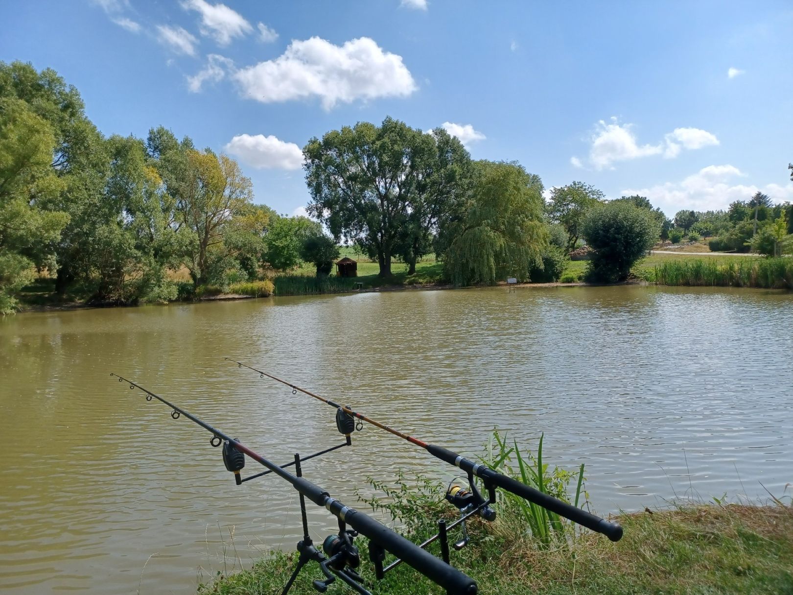 Teich Günterode angeln