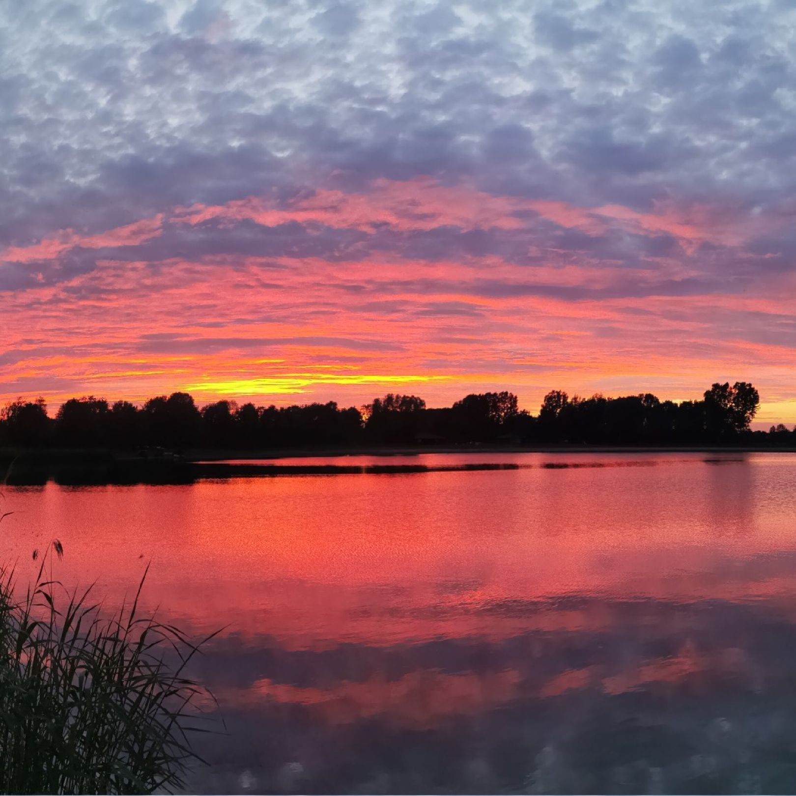 Slingeplas angeln