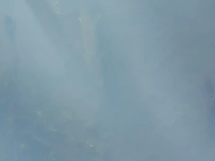 Wuhle (Berlin-Köpenick) angeln