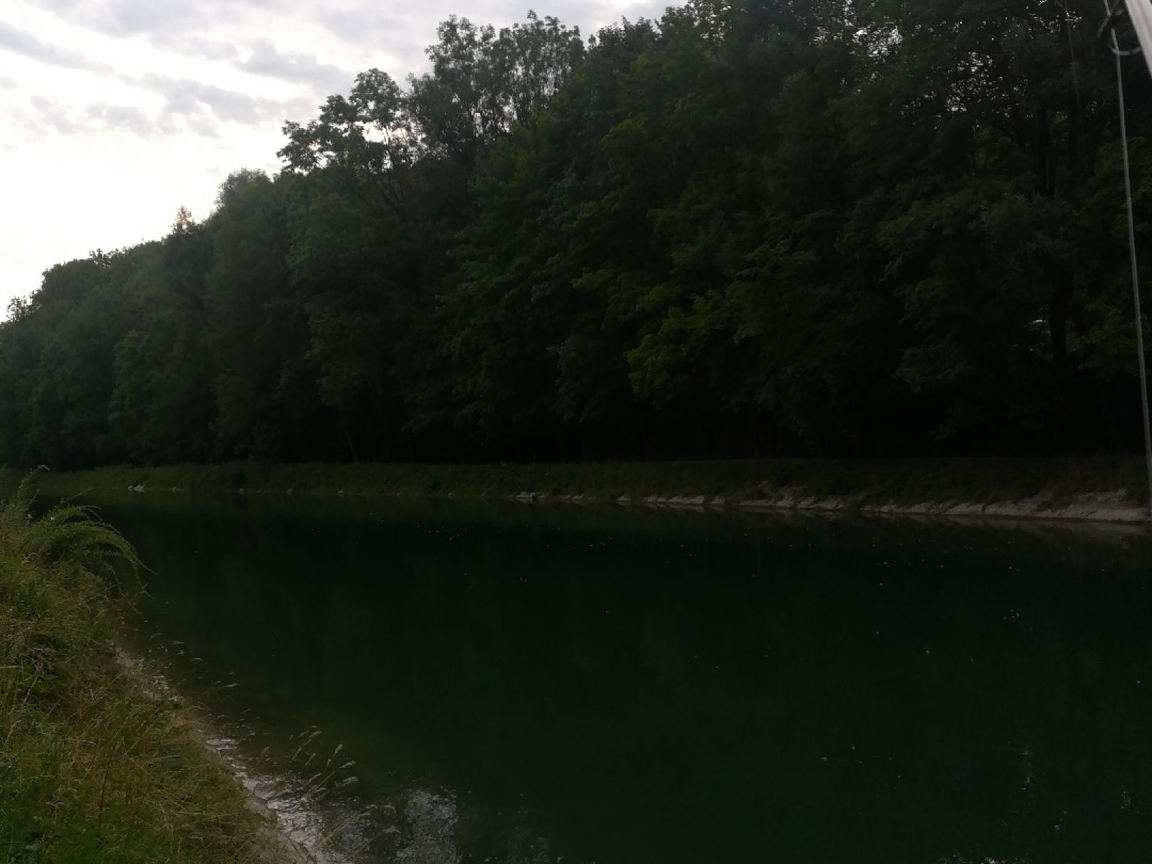 Mittlerer Isarkanal (Oberföhring) angeln