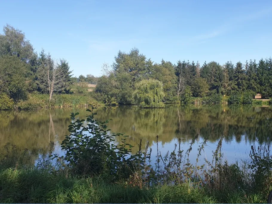 Teichanlage Steinau (Gerstungen) angeln