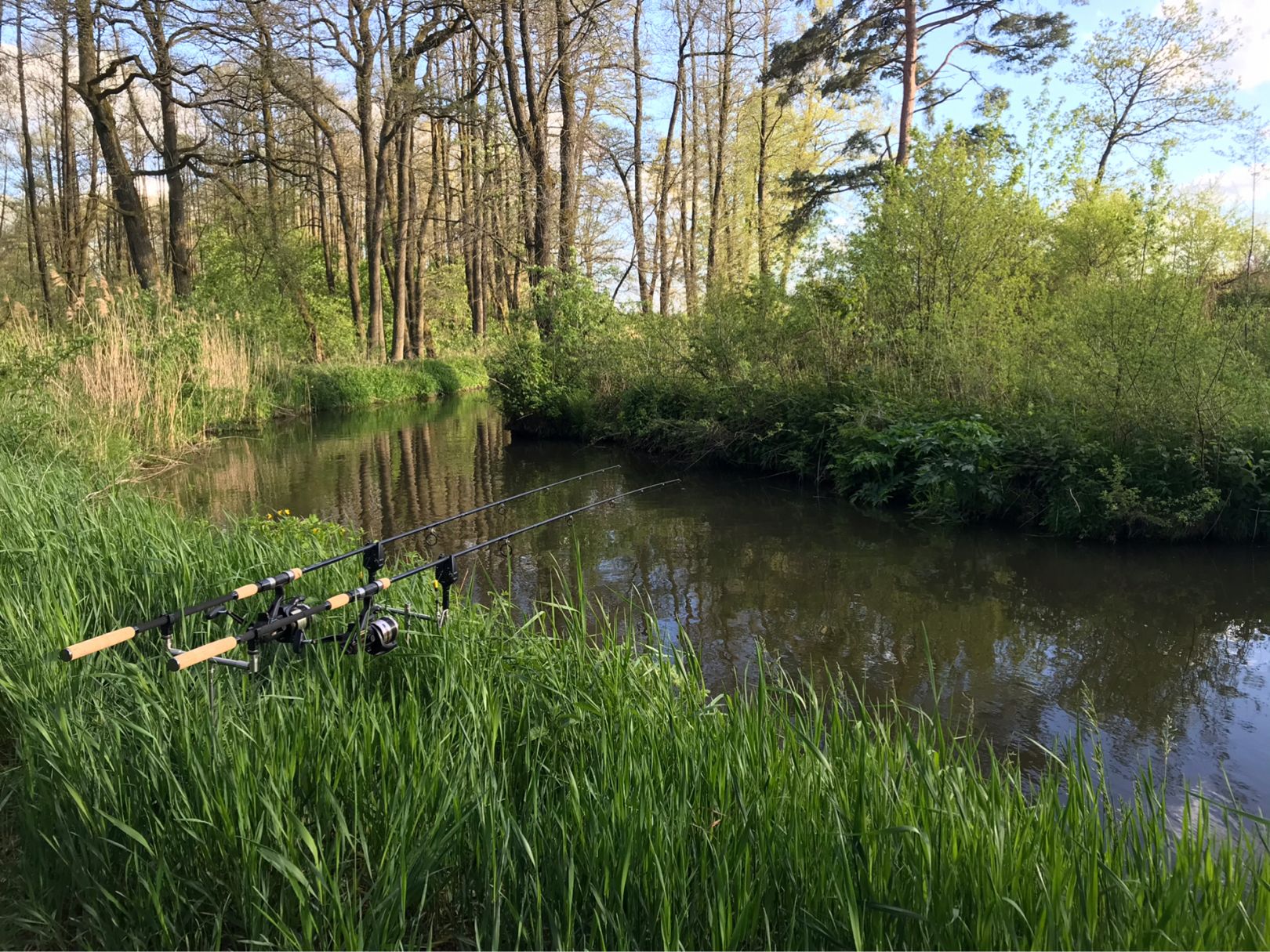 Flutkanal Dießfurt angeln