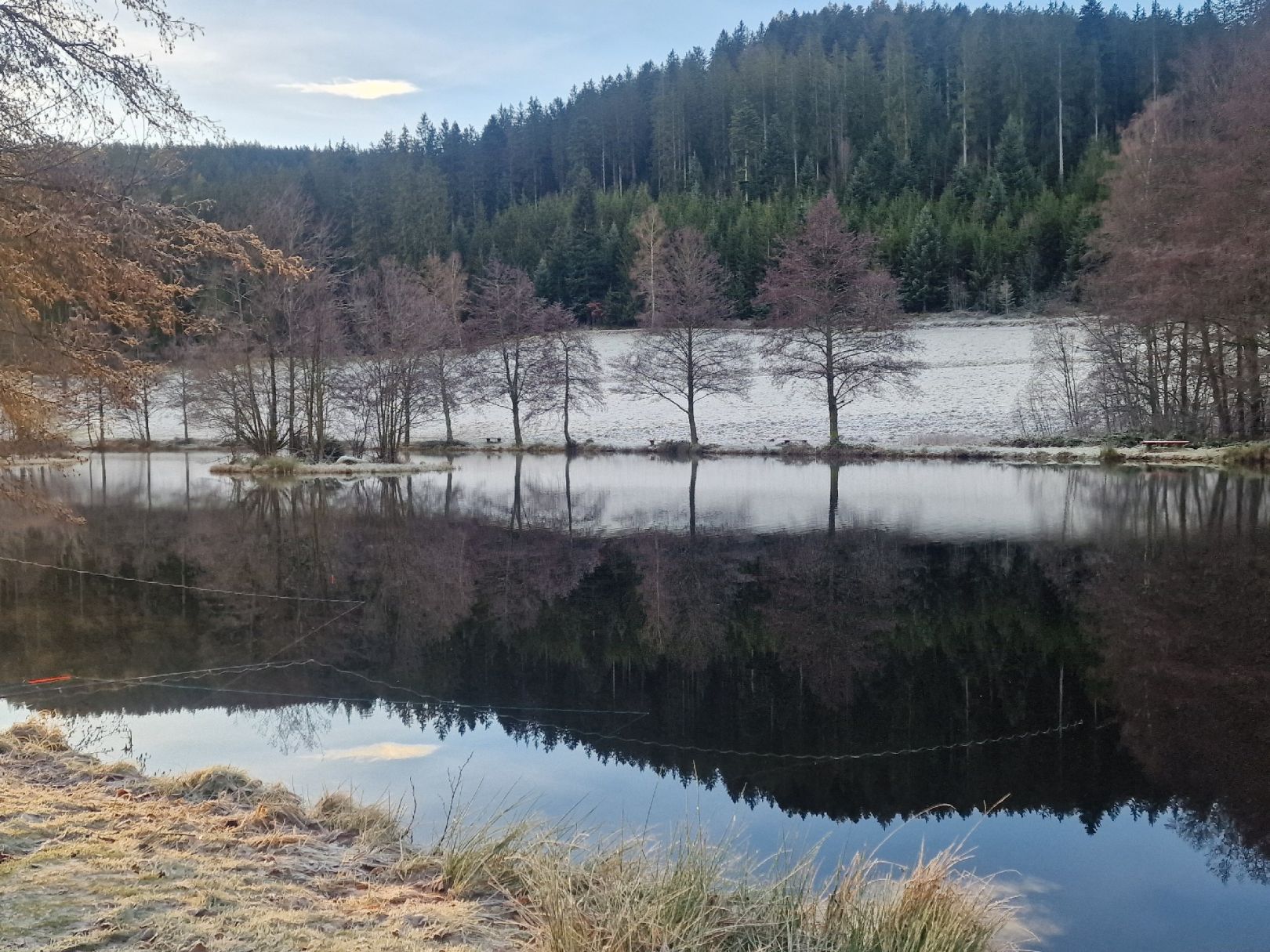 Angeln in Baiersbronn