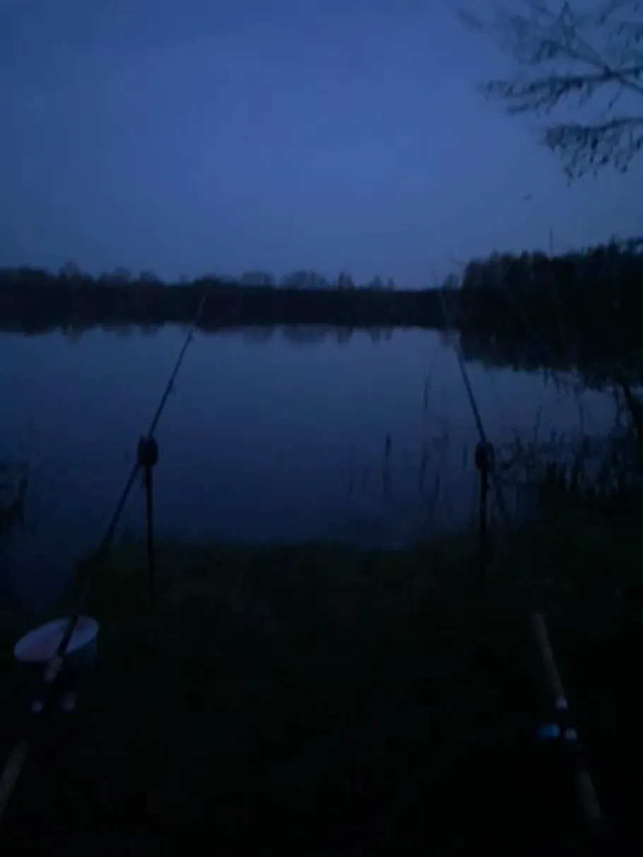 Fuchsbausee (Ost) angeln