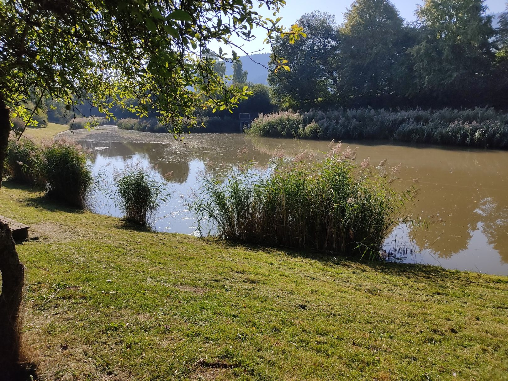 Angeln in Königsheim