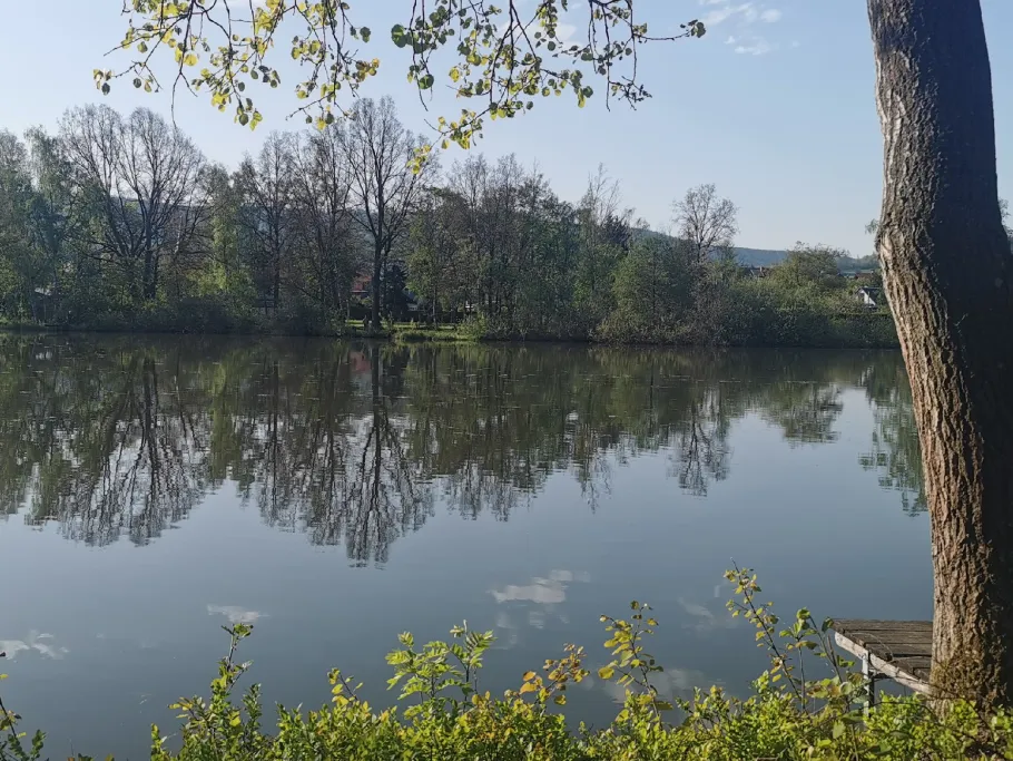 Haideteich (Gehren) angeln