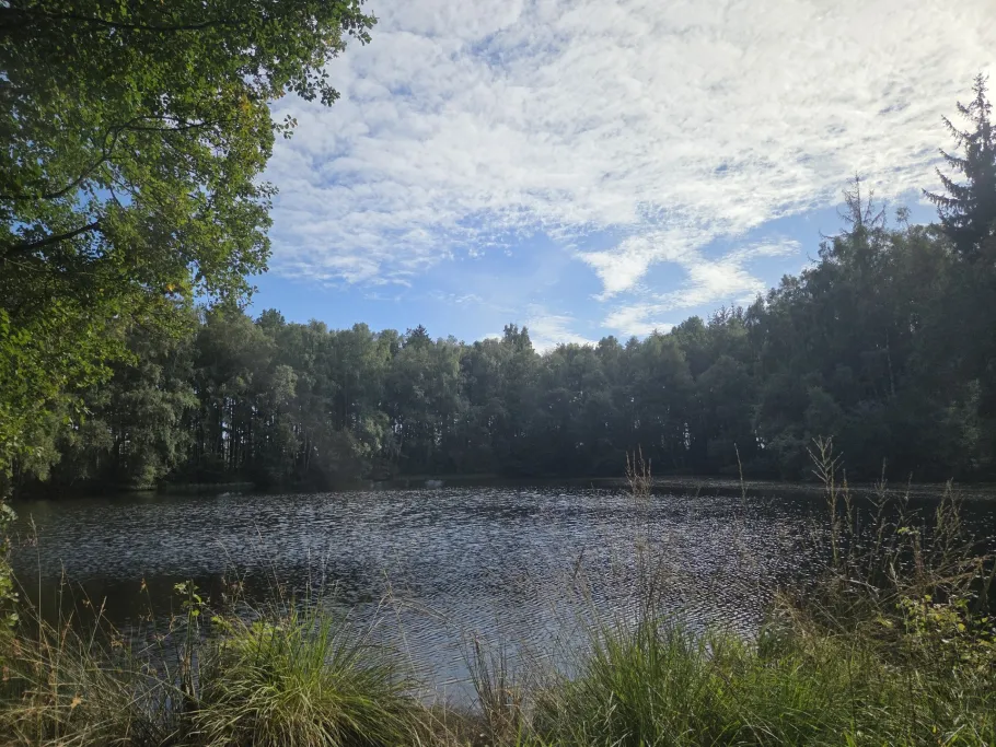 Waldsee (Retschow) angeln