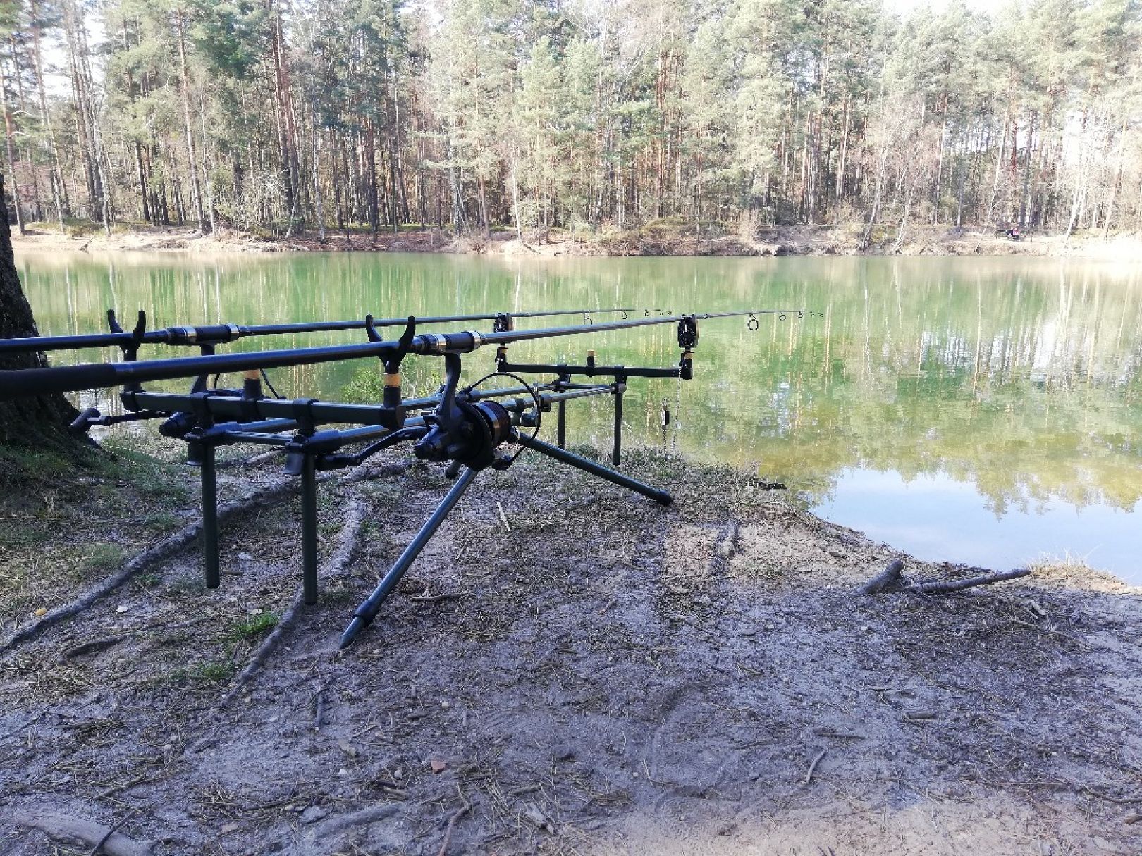 Blauer See (Bernsdorf) angeln