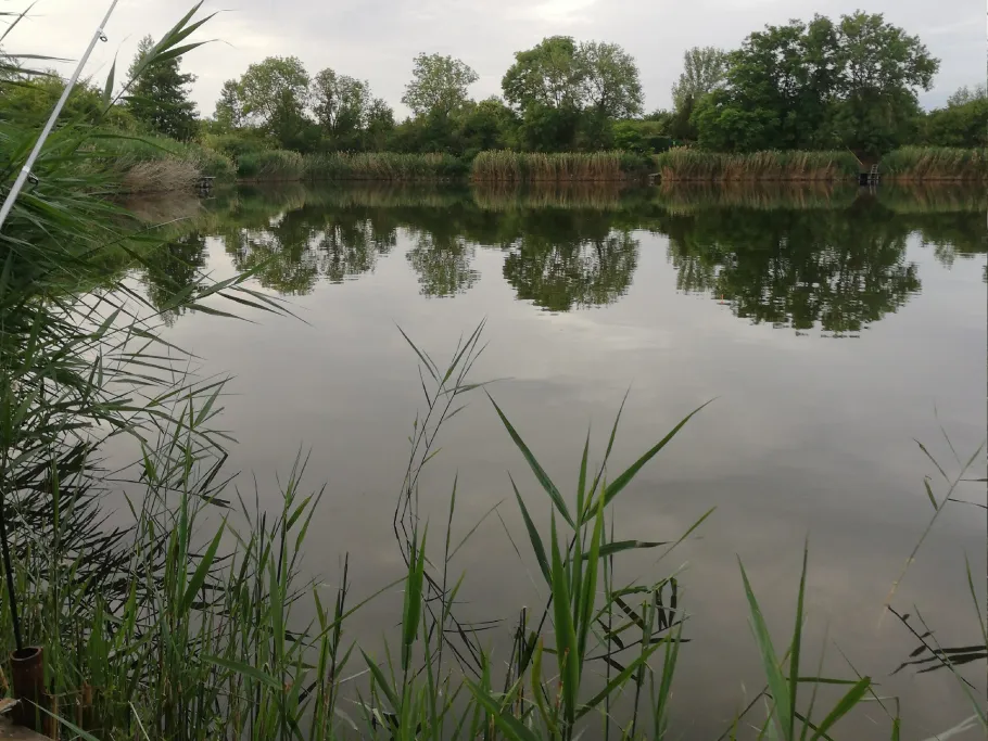 Tagebau Westeregeln angeln