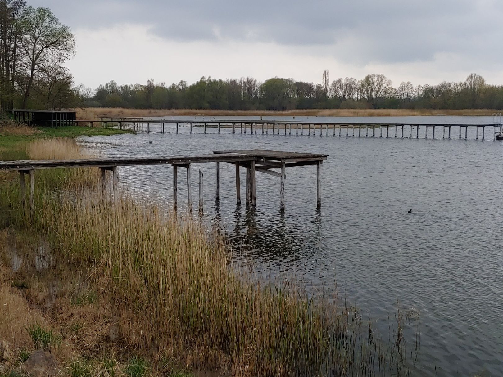 Großer Posthornsee (Halle) angeln