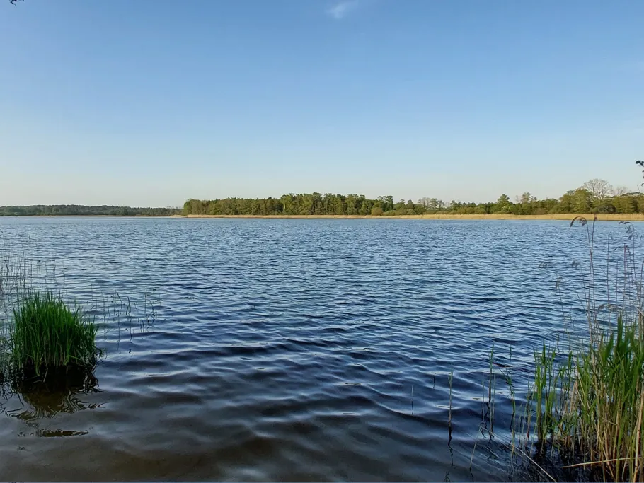 Neuhofer See (Langen Jarchow) angeln