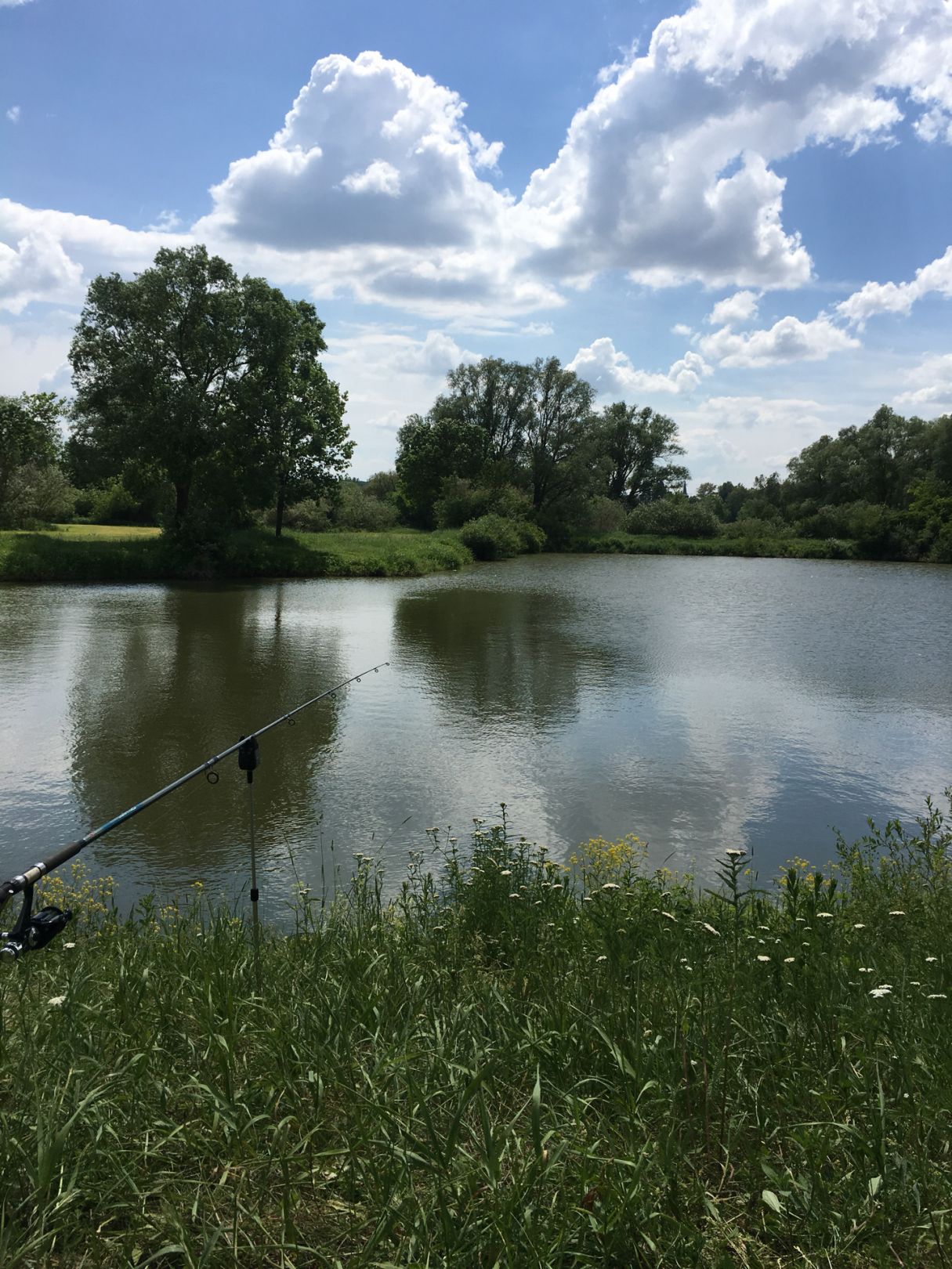 Kleiner Anglersee Obereisenheim angeln