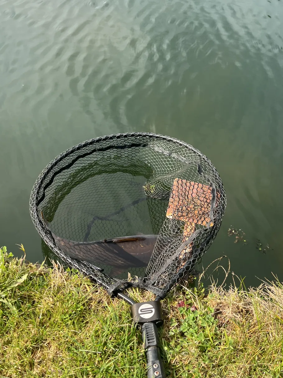 Étang de Pêche Werner angeln