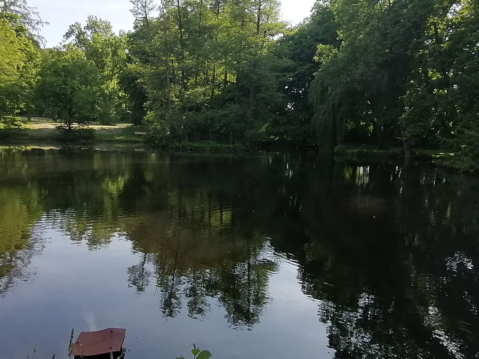 Schloß Kropstädt angeln