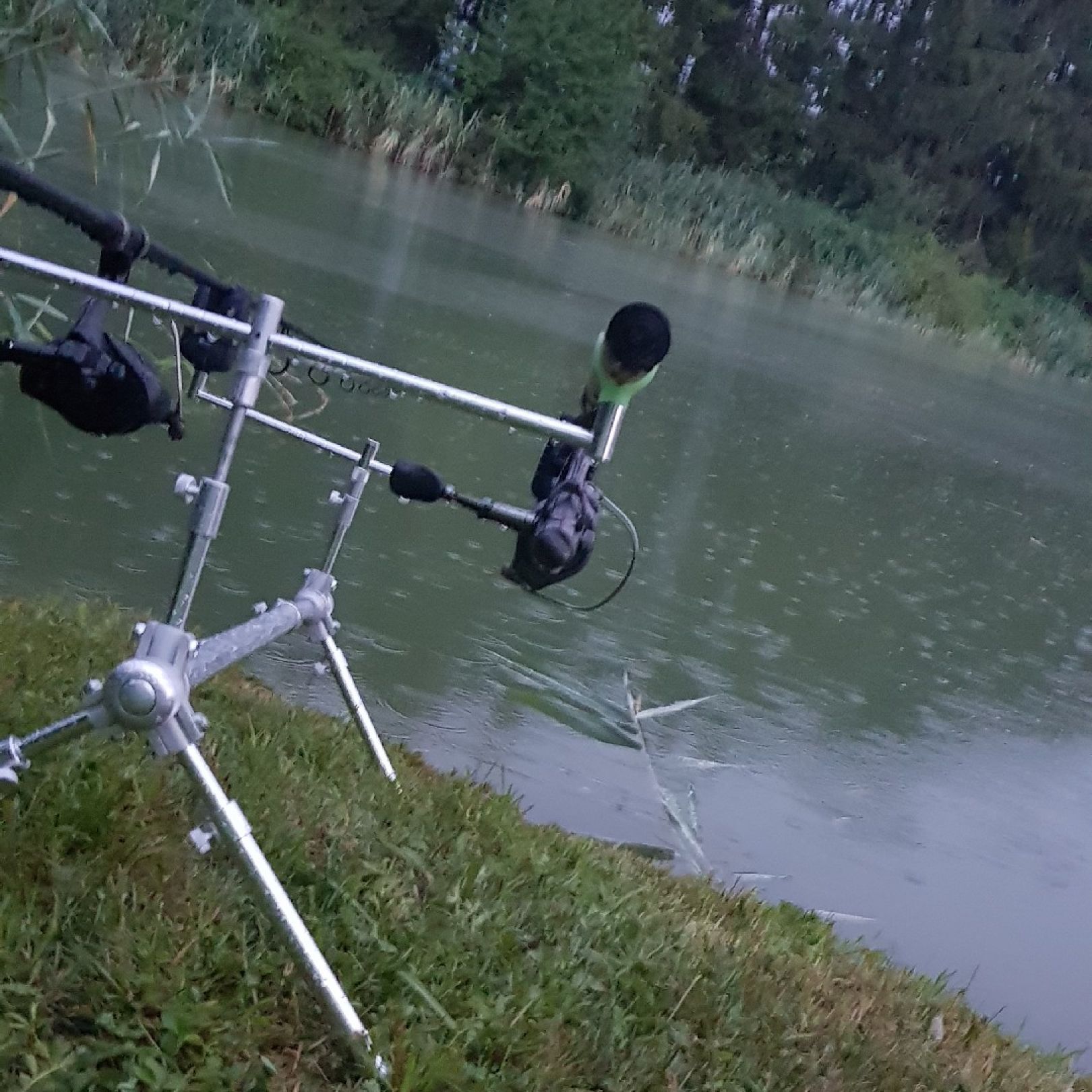 Eisweiher (Rheinfelden) angeln