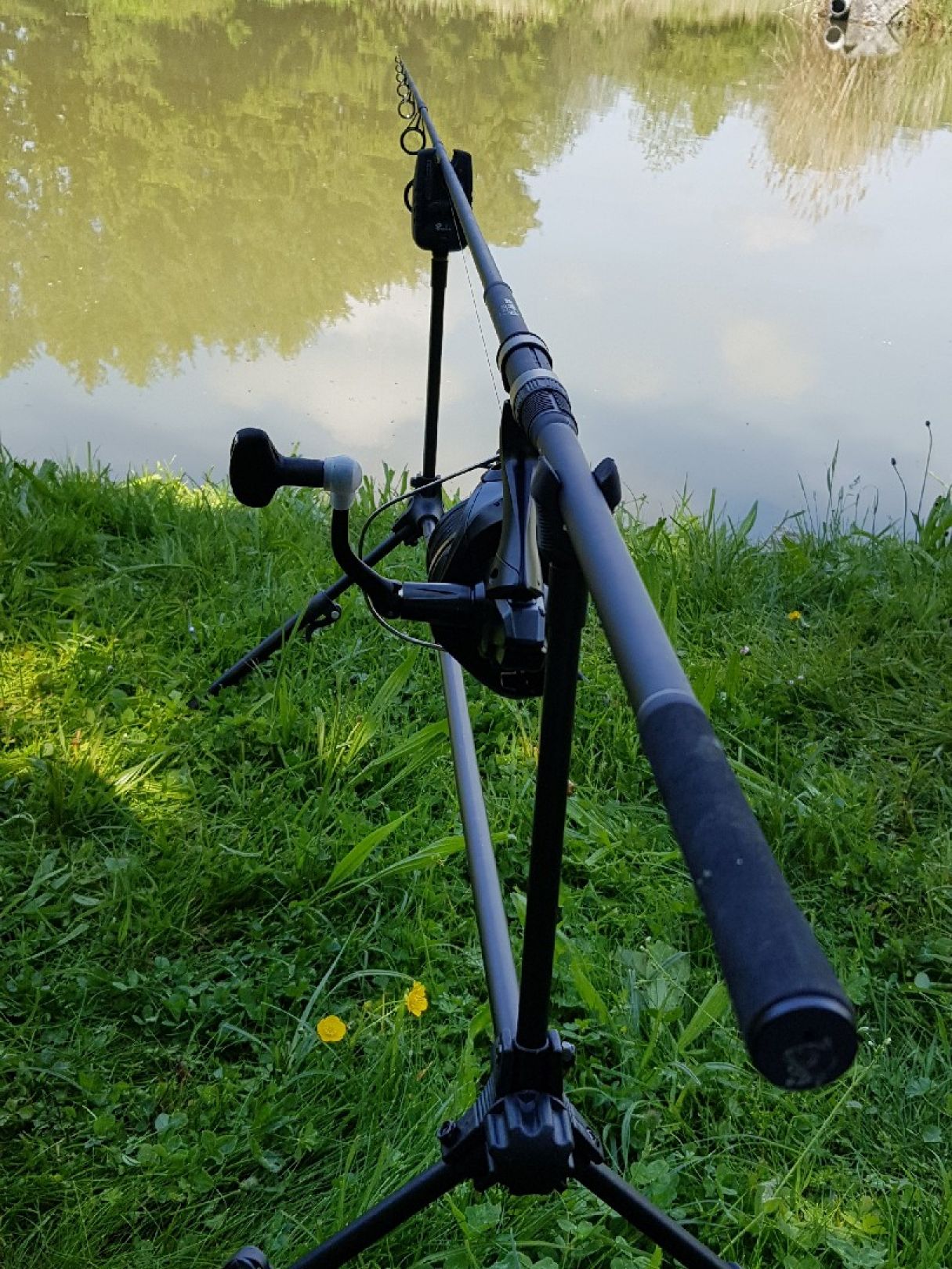 Eisweiher (Rheinfelden) angeln