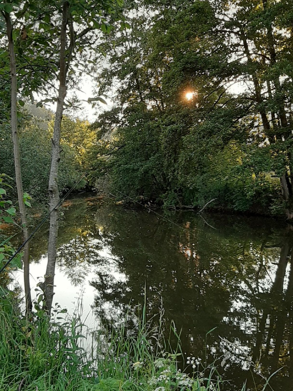 Angeln in Obersontheim