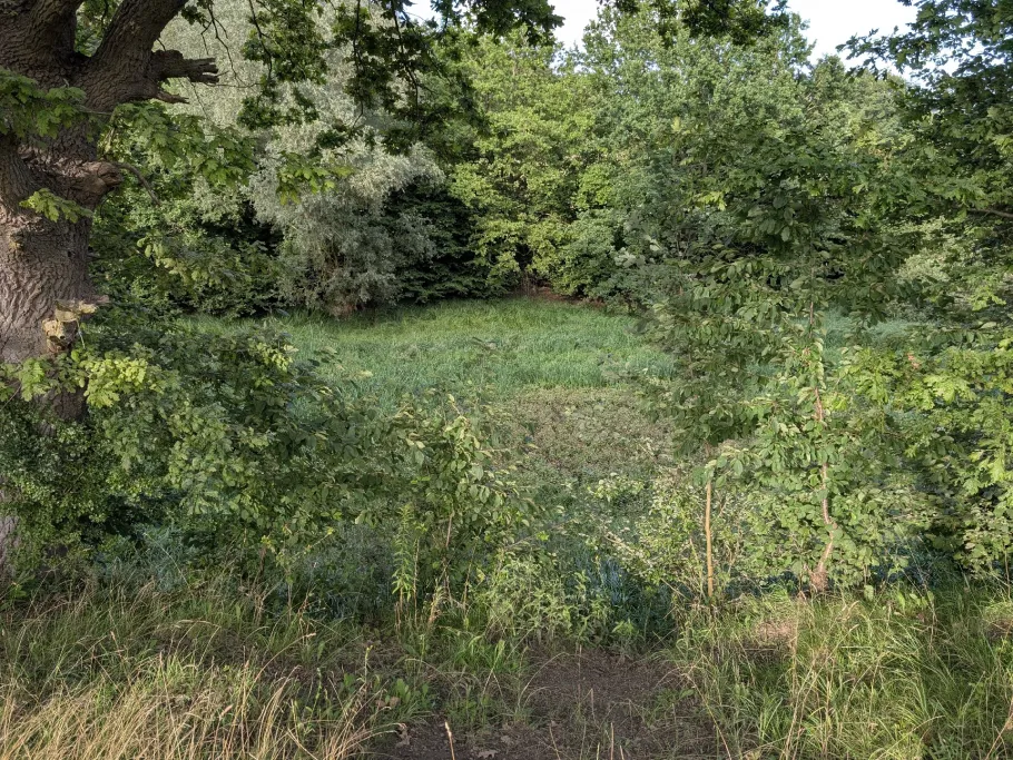 Nettelkuhl (Neubrandenburg) angeln