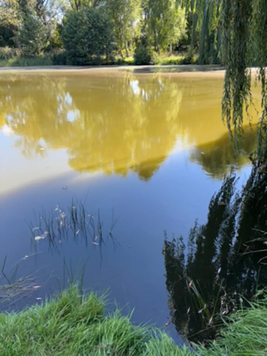 Karpfenteich (Jüterbog) angeln