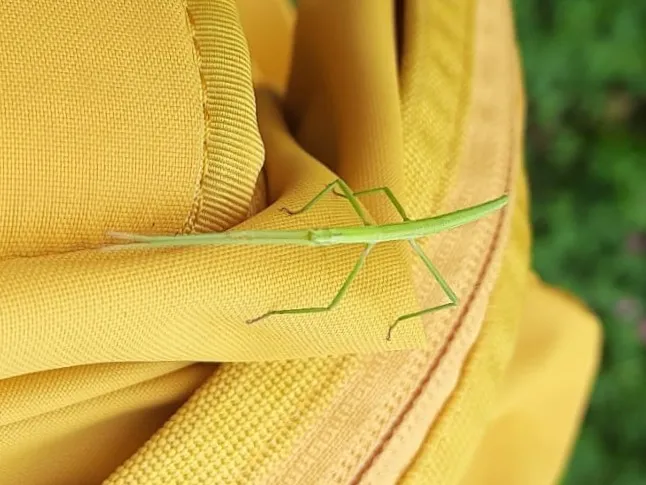 Embalse de Ullíbarri-Gamboa angeln