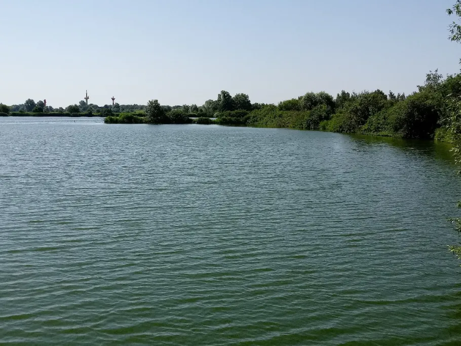 Großer Schwanensee (Rechtenfleth) angeln