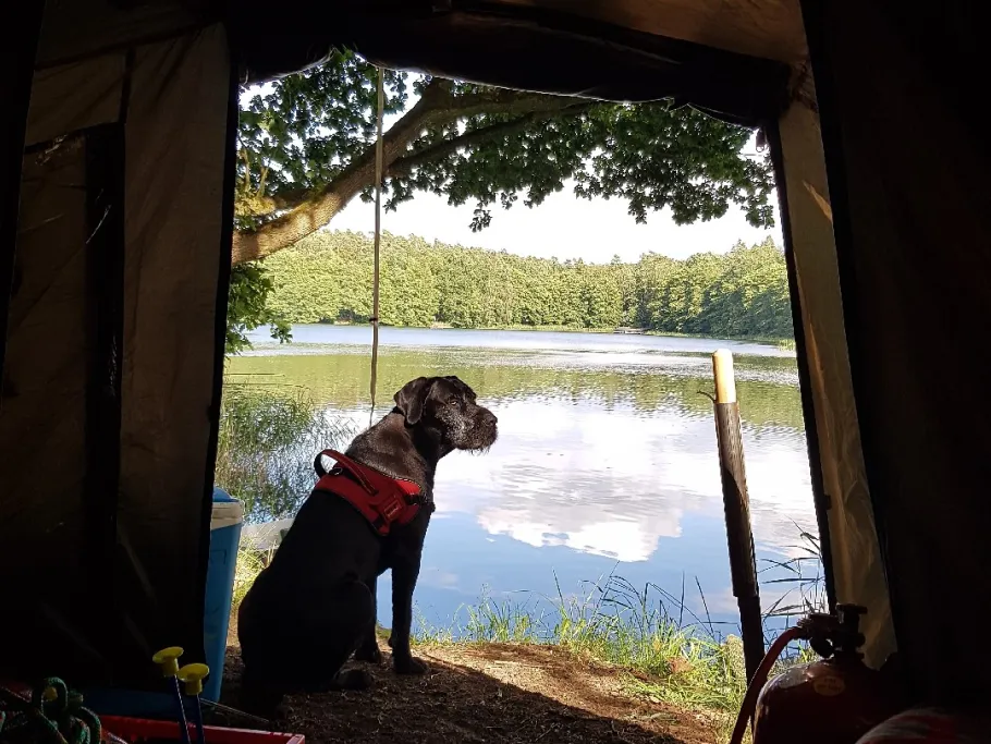 Glammsee (Witzin) angeln