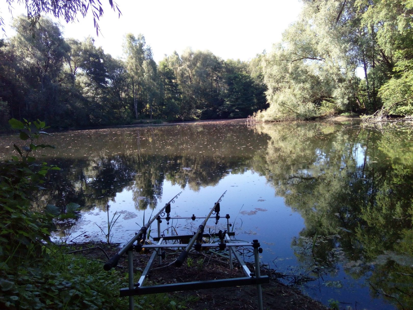 Kleine Kieskuhle (Wahlstedt) angeln