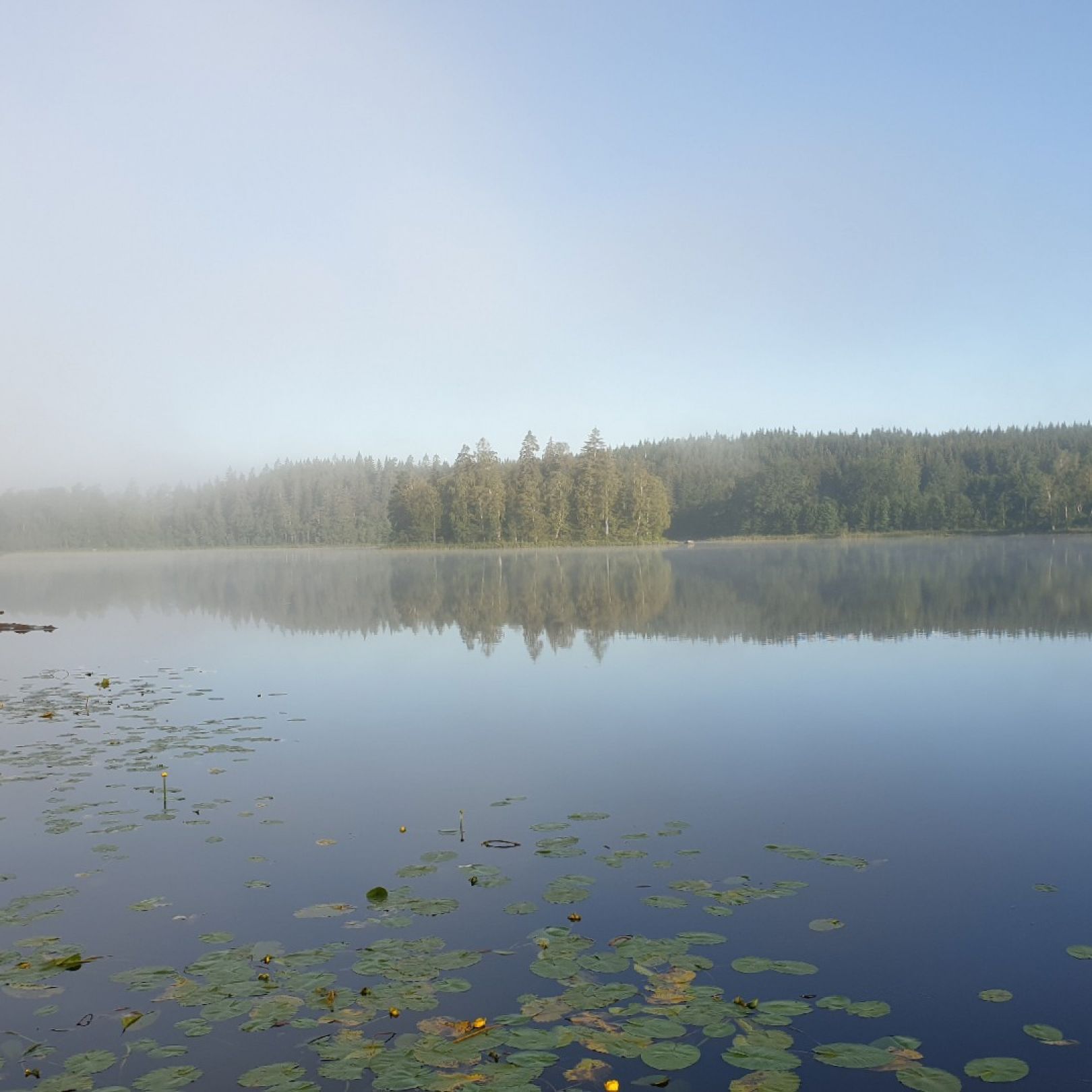 Lönern angeln