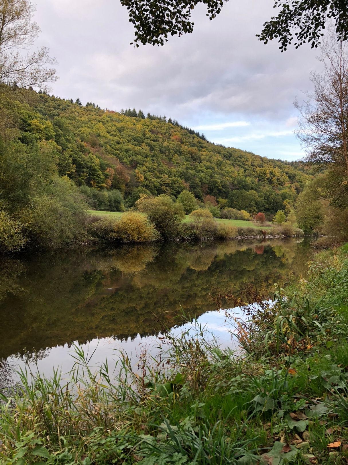 Nahe (Fischbach-Weierbach) angeln