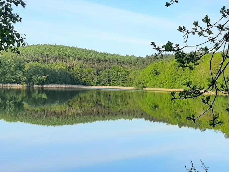 Hohlsee (Brüel) angeln