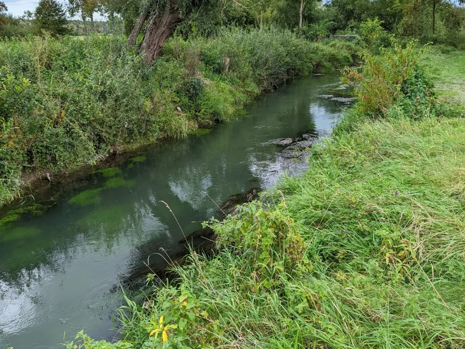 Gieseler (Hellinghausen) angeln