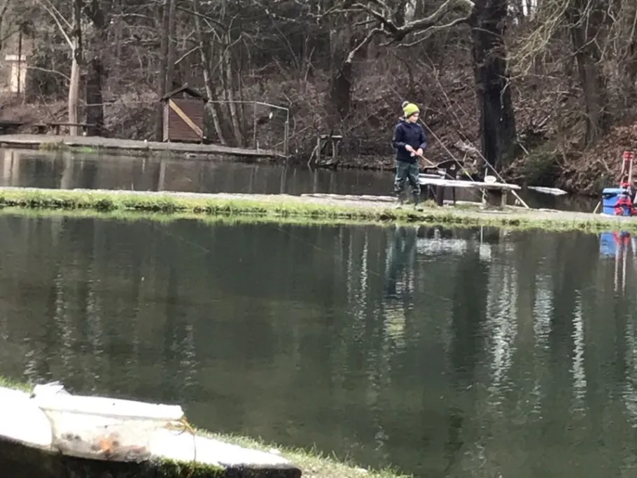 Angelhof Bollwerk angeln