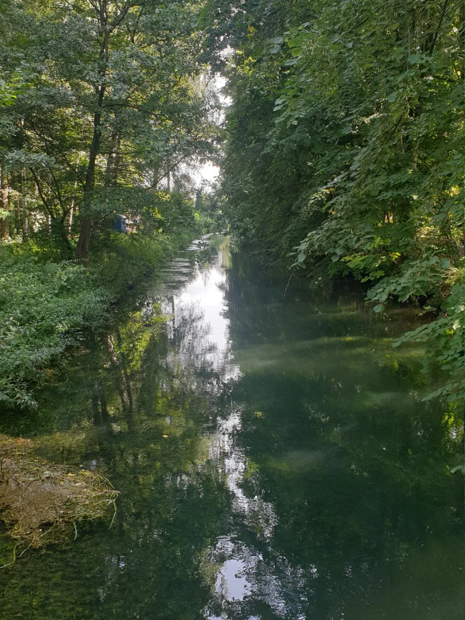 Boker Kanal (Paderborn) angeln