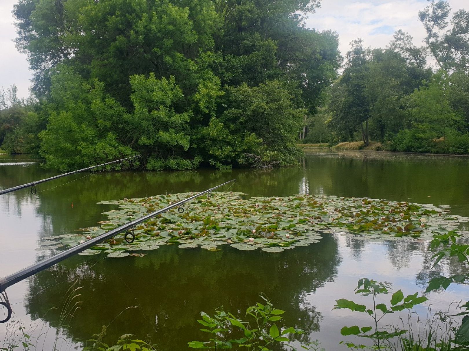 Birkenweiher (Gatersleben) angeln
