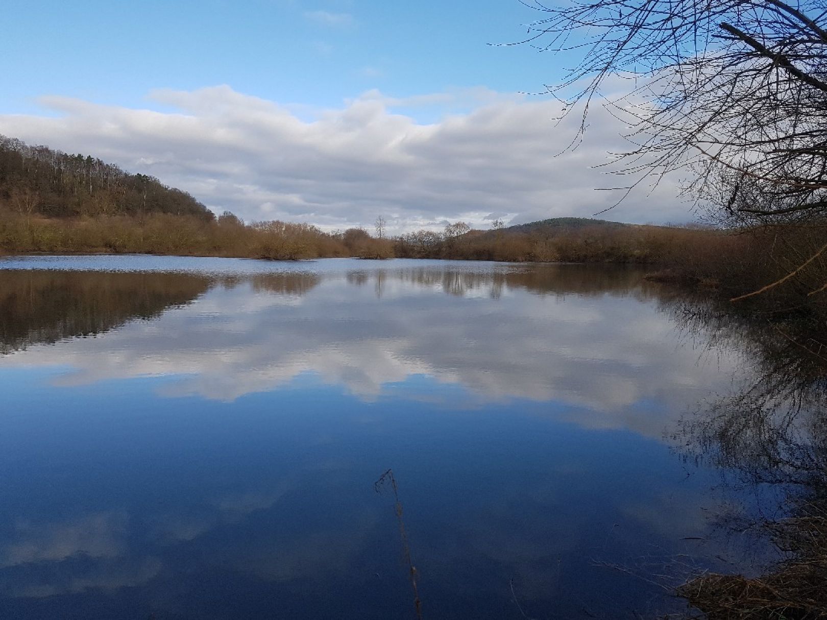 Mecklarer Teich angeln