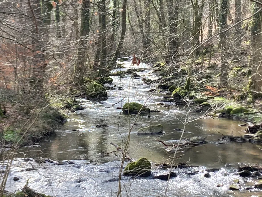 Leuk (Trassem) angeln