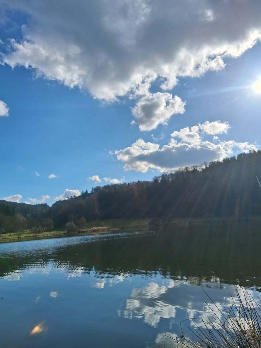 Marbachstausee angeln