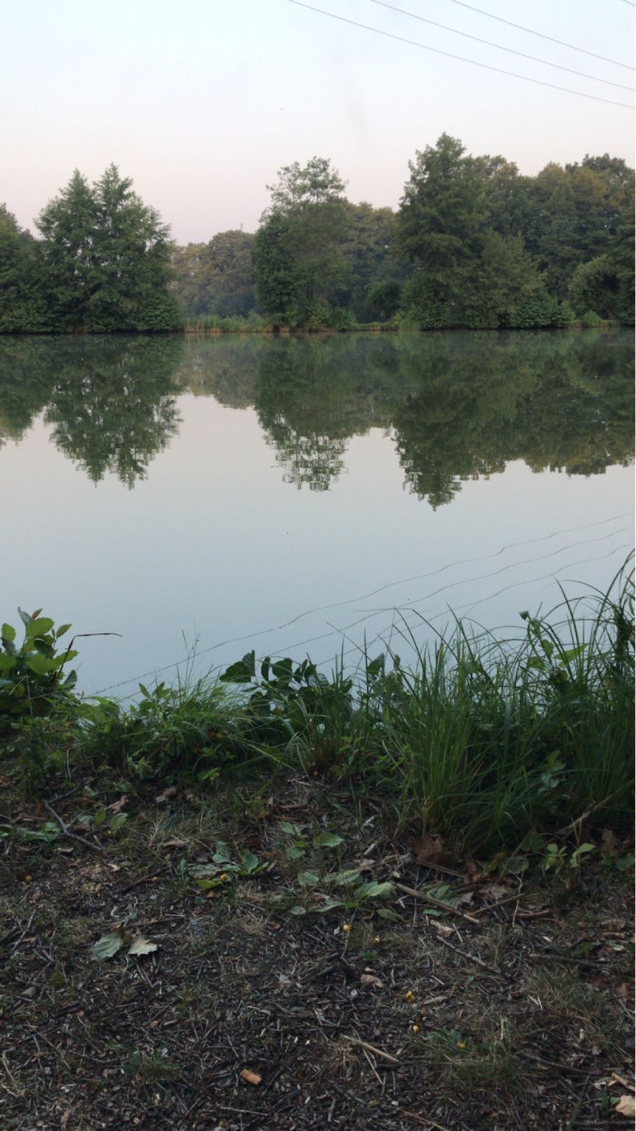 Dürrmühlenteich angeln