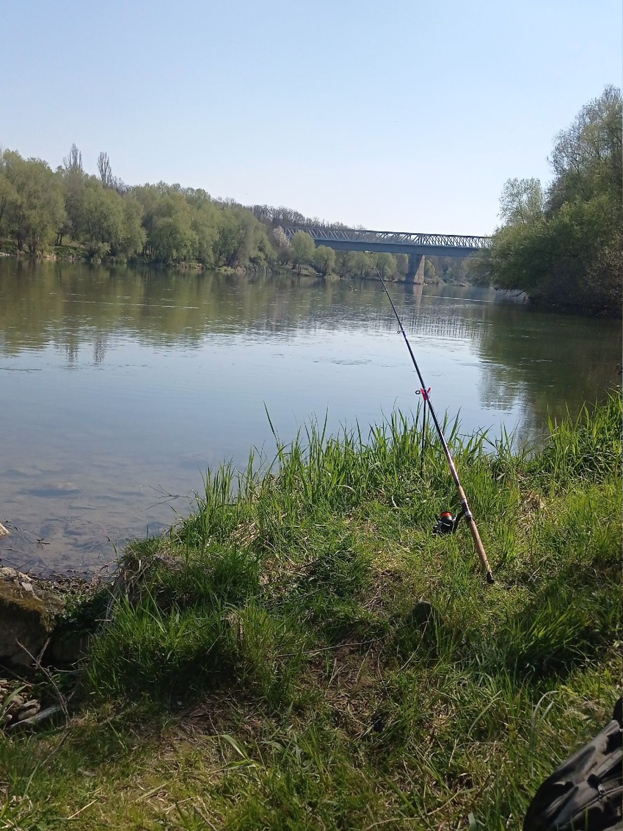 Angeln in Neuenburg am Rhein