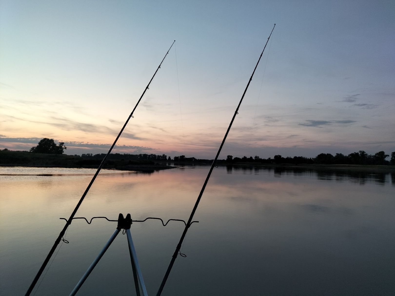 Elbe (Beuster) angeln