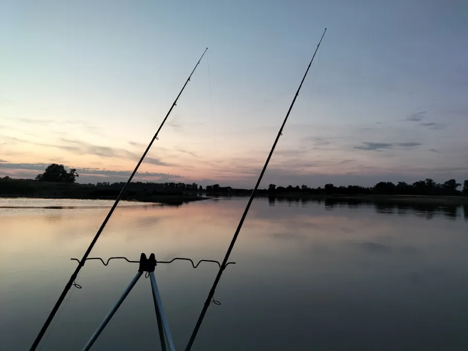 Elbe (Beuster) angeln