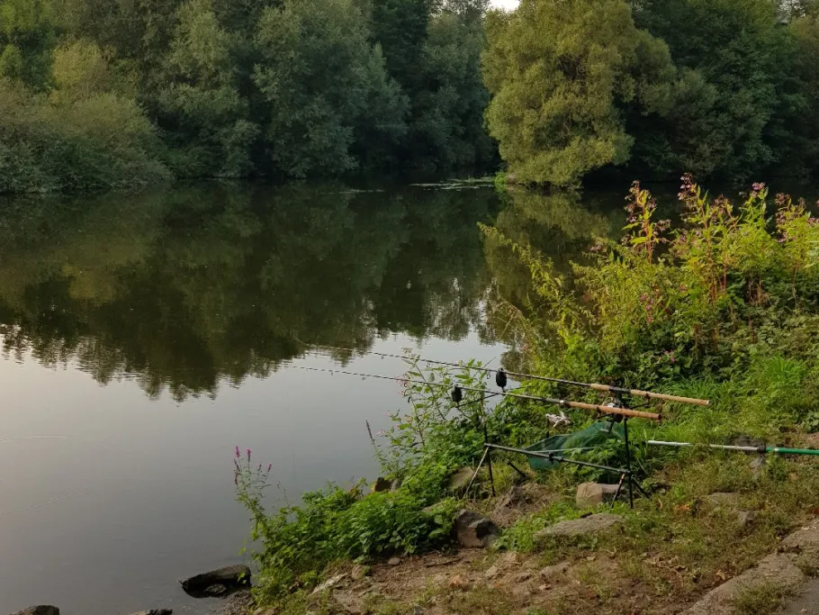 Lahn (Löhnberg) angeln