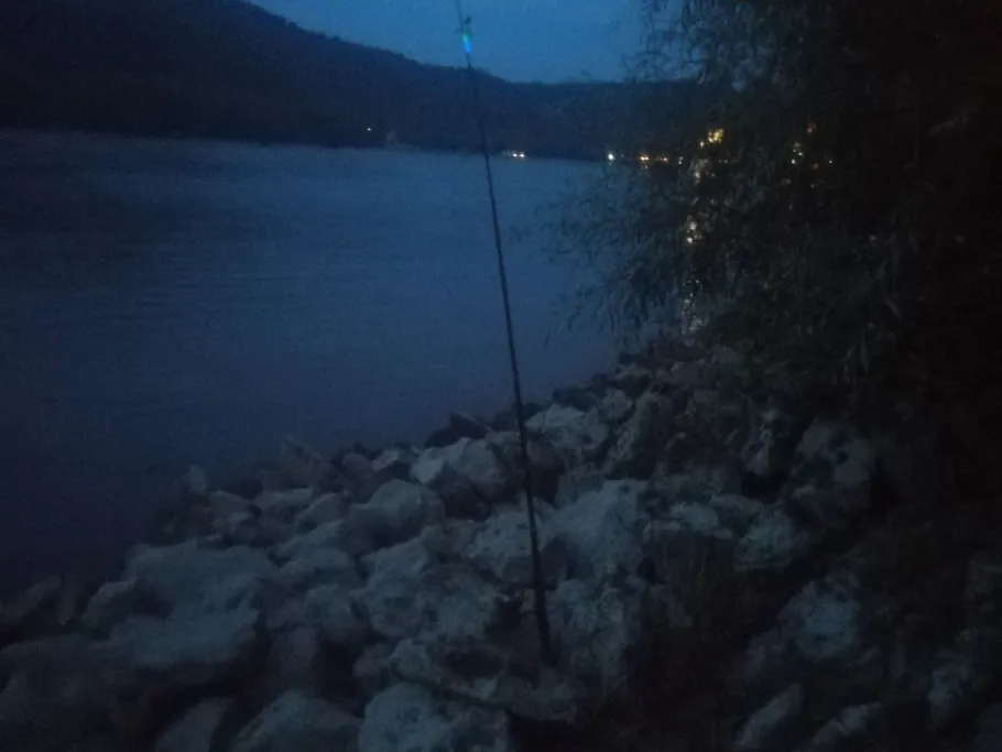Rhein (Boppard) angeln
